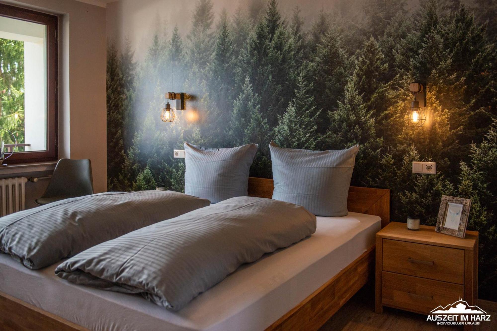 Auszeit Im Harz Haus 3 Wohnung 6 Braunlage Eksteriør bilde
