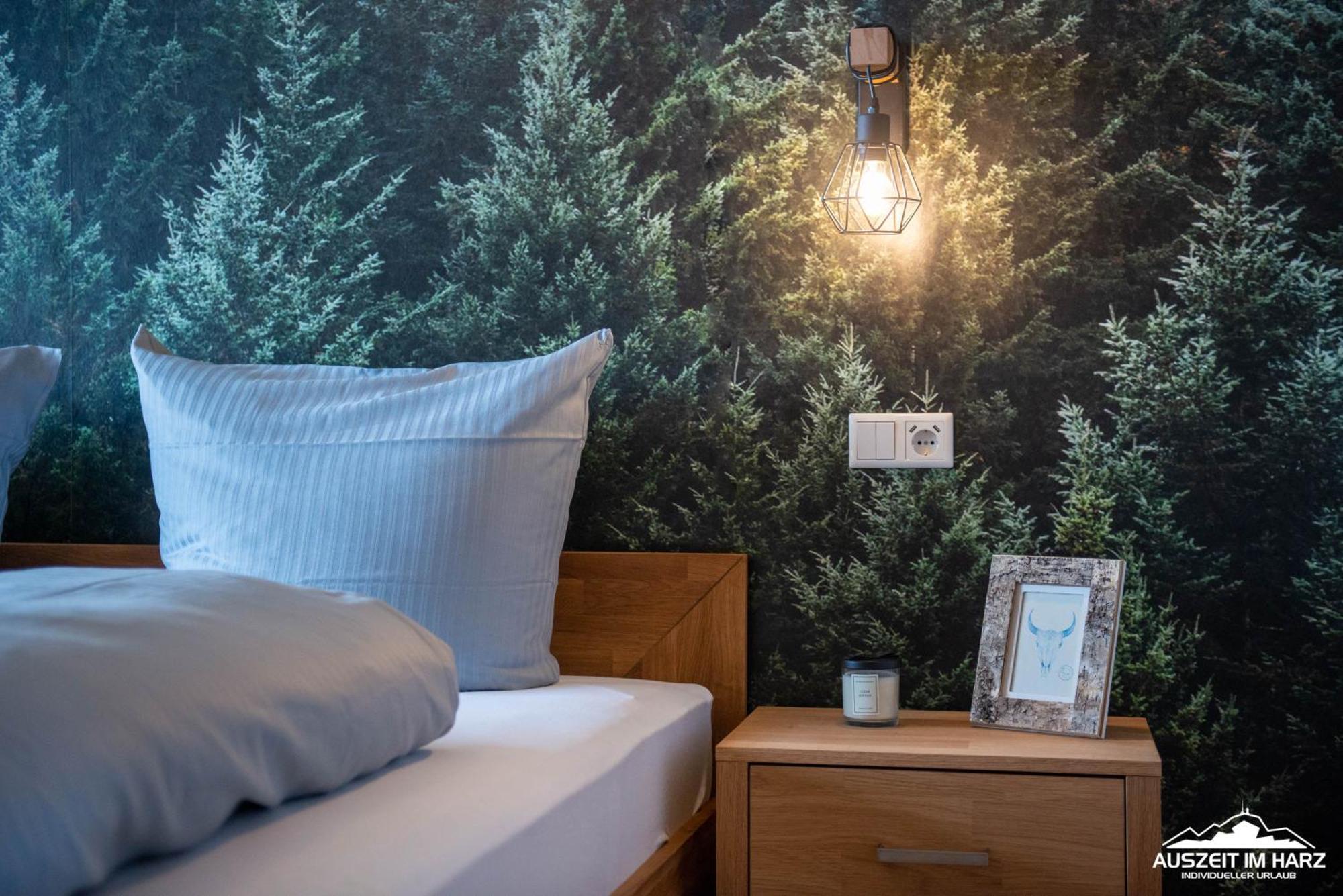 Auszeit Im Harz Haus 3 Wohnung 6 Braunlage Eksteriør bilde